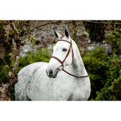 Horseware Zaum Hunter Cavesson mit Zügeln Dark Tan Horseware Zaum Hunter Cavesson mit Zügeln Dark Tan