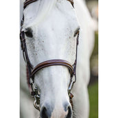 Horseware Zaum Hunter Cavesson mit Zügeln Dark Tan Horseware Zaum Hunter Cavesson mit Zügeln Dark Tan