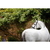 Horseware Zaum Diamante Schwarz/Rosa Horseware Zaum Diamante Schwarz/Rosa