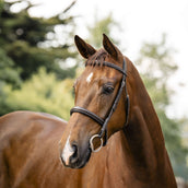 Horseware Zaum Hunter Havana Brown Horseware Zaum Hunter Havana Brown