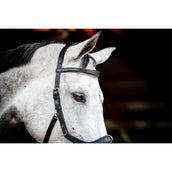 Rambo Micklem Multi Bridle New Schwarz Rambo Micklem Multi Bridle New Schwarz