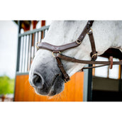 Rambo Micklem Multi Bridle New Dark Havana Rambo Micklem Multi Bridle New Dark Havana