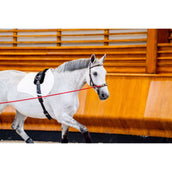 Rambo Micklem Multi Bridle New Dark Havana Rambo Micklem Multi Bridle New Dark Havana