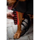 Horseware Pet Leg Wraps LED Red Light Therapy Pair Schwarz/Schwarz Horseware Pet Leg Wraps LED Red Light Therapy Pair Schwarz/Schwarz