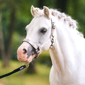 Imperial Riding Halfter IRHRebel Grau Imperial Riding Halfter IRHRebel Grau
