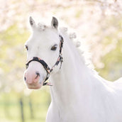 Imperial Riding Halfter IRHRebel Flower Print Imperial Riding Halfter IRHRebel Flower Print