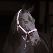 Imperial Riding Halfter IRHRebel Ballerina Imperial Riding Halfter IRHRebel Ballerina