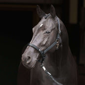 Imperial Riding Halfter IRHRebel Schwarz Imperial Riding Halfter IRHRebel Schwarz