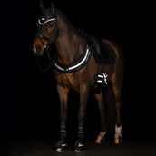Imperial Riding Zehenwärmer IRHLuminous Schwarz Imperial Riding Zehenwärmer IRHLuminous Schwarz