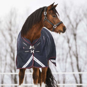 LeMieux Decke Kudos Turnout 50g Navy LeMieux Decke Kudos Turnout 50g Navy