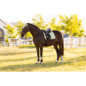 LeMieux Schabracke Suede Square Dressur Macaron LeMieux Schabracke Suede Square Dressur Macaron