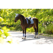 LeMieux Schabracke Suede Square Dressur Powder Blue LeMieux Schabracke Suede Square Dressur Powder Blue
