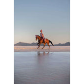 LeMieux Schabracke Loire Classic Square Vielseitigkeit Mallow LeMieux Schabracke Loire Classic Square Vielseitigkeit Mallow