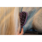 LeMieux Mähnen- und Schweifbürste Tangle Tidy Mallow LeMieux Mähnen- und Schweifbürste Tangle Tidy Mallow