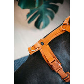 Kentucky Geschirr Active Velvet Orange Kentucky Geschirr Active Velvet Orange