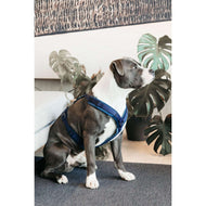 Kentucky Geschirr Active Velvet Navy Kentucky Geschirr Active Velvet Navy