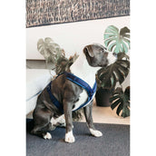 Kentucky Geschirr Active Velvet Navy Kentucky Geschirr Active Velvet Navy