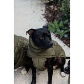 Kentucky Hundedecke Winter Pina 160g Pine Green Kentucky Hundedecke Winter Pina 160g Pine Green