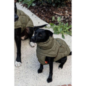 Kentucky Hundedecke Winter Pina 160g Pine Green Kentucky Hundedecke Winter Pina 160g Pine Green