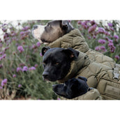 Kentucky Hundedecke Winter Pina 160g Pine Green Kentucky Hundedecke Winter Pina 160g Pine Green