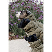 Kentucky Hundedecke Winter Pina 160g Pine Green Kentucky Hundedecke Winter Pina 160g Pine Green