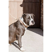 Kentucky Kragen Teddy Fleece Altrosa Kentucky Kragen Teddy Fleece Altrosa