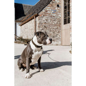 Kentucky Kragen Teddy Fleece Pine Green Kentucky Kragen Teddy Fleece Pine Green