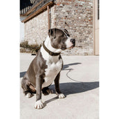 Kentucky Kragen Teddy Fleece Pine Green Kentucky Kragen Teddy Fleece Pine Green