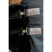 Kentucky Brustverlängerung Wol 2 Kupplungsverschlussen Schwarz Kentucky Brustverlängerung Wol 2 Kupplungsverschlussen Schwarz