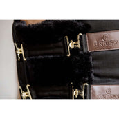 Kentucky Brustverlängerung Wol 2 Kupplungsverschlussen Schwarz Kentucky Brustverlängerung Wol 2 Kupplungsverschlussen Schwarz