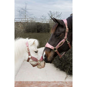 Kentucky Horsewear Halfter Velvet Glitter Unicorn Altrosa Kentucky Horsewear Halfter Velvet Glitter Unicorn Altrosa