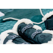 Kentucky Sehnenschutz Bamboo Elastic Velvet Vegan Bunt Dunkel grün Kentucky Sehnenschutz Bamboo Elastic Velvet Vegan Bunt Dunkel grün