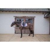 Kentucky Horsewear Schabracke Softshell Onion Quilt Dressur Hellviolett/Hellrosa Kentucky Horsewear Schabracke Softshell Onion Quilt Dressur Hellviolett/Hellrosa