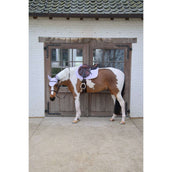 Kentucky Horsewear Schabracke Softshell Onion Quilt Springen Hellviolett/Hellrosa Kentucky Horsewear Schabracke Softshell Onion Quilt Springen Hellviolett/Hellrosa