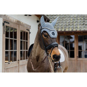 Kentucky Ohrnetz Wellington 3D Logo Hellblau Kentucky Ohrnetz Wellington 3D Logo Hellblau