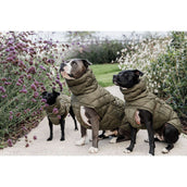 Kentucky Hundedecke Winter Pina 160g Pine Green Kentucky Hundedecke Winter Pina 160g Pine Green