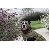 Kentucky Hundedecke Winter Pina 160g Pine Green Kentucky Hundedecke Winter Pina 160g Pine Green