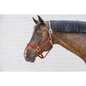 Kentucky Halfter Nylon Breakaway Bordeaux Kentucky Halfter Nylon Breakaway Bordeaux