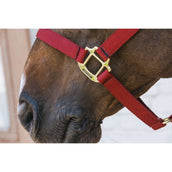 Kentucky Halfter Nylon Breakaway Bordeaux Kentucky Halfter Nylon Breakaway Bordeaux