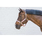 Kentucky Halfter Nylon Breakaway Altrosa Kentucky Halfter Nylon Breakaway Altrosa