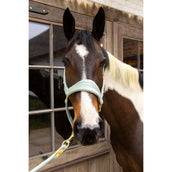 Kentucky Halfter Velvet Mint Kentucky Halfter Velvet Mint