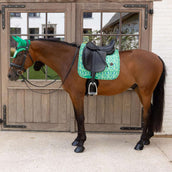 Kentucky Schabracke Velvet Paisley Garden Dressur Grün/Navy Kentucky Schabracke Velvet Paisley Garden Dressur Grün/Navy