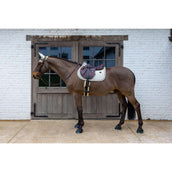 Kentucky Schabracke Velvet Horse Printing Beige Kentucky Schabracke Velvet Horse Printing Beige