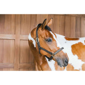 Kentucky Lederhalfter Wellington Schwarz Kentucky Lederhalfter Wellington Schwarz