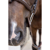 Kentucky Gebissringe Bit Ring Braun Kentucky Gebissringe Bit Ring Braun