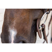 Kentucky Gebissringe Bit Ring Braun Kentucky Gebissringe Bit Ring Braun