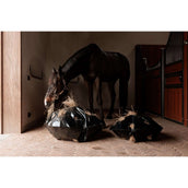 Grooming Deluxe by Kentucky Slow Feeder Play & Haybag Round Grooming Deluxe by Kentucky Slow Feeder Play & Haybag Round