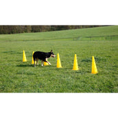 Kerbl Agility Pylon Set 3 Hindernisse Rot/Gelb Kerbl Agility Pylon Set 3 Hindernisse Rot/Gelb