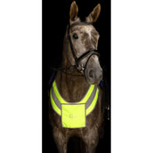 Kerbl Brustgeschirr Reflex Kerbl Brustgeschirr Reflex