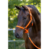 Covalliero Halfter Hippo Orange Covalliero Halfter Hippo Orange
